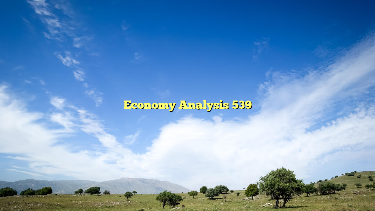 Economy Analysis 539